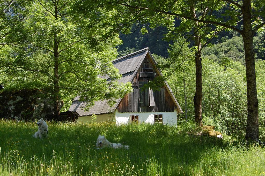 ボヴェツ Bezgova Hisicaヴィラ エクステリア 写真